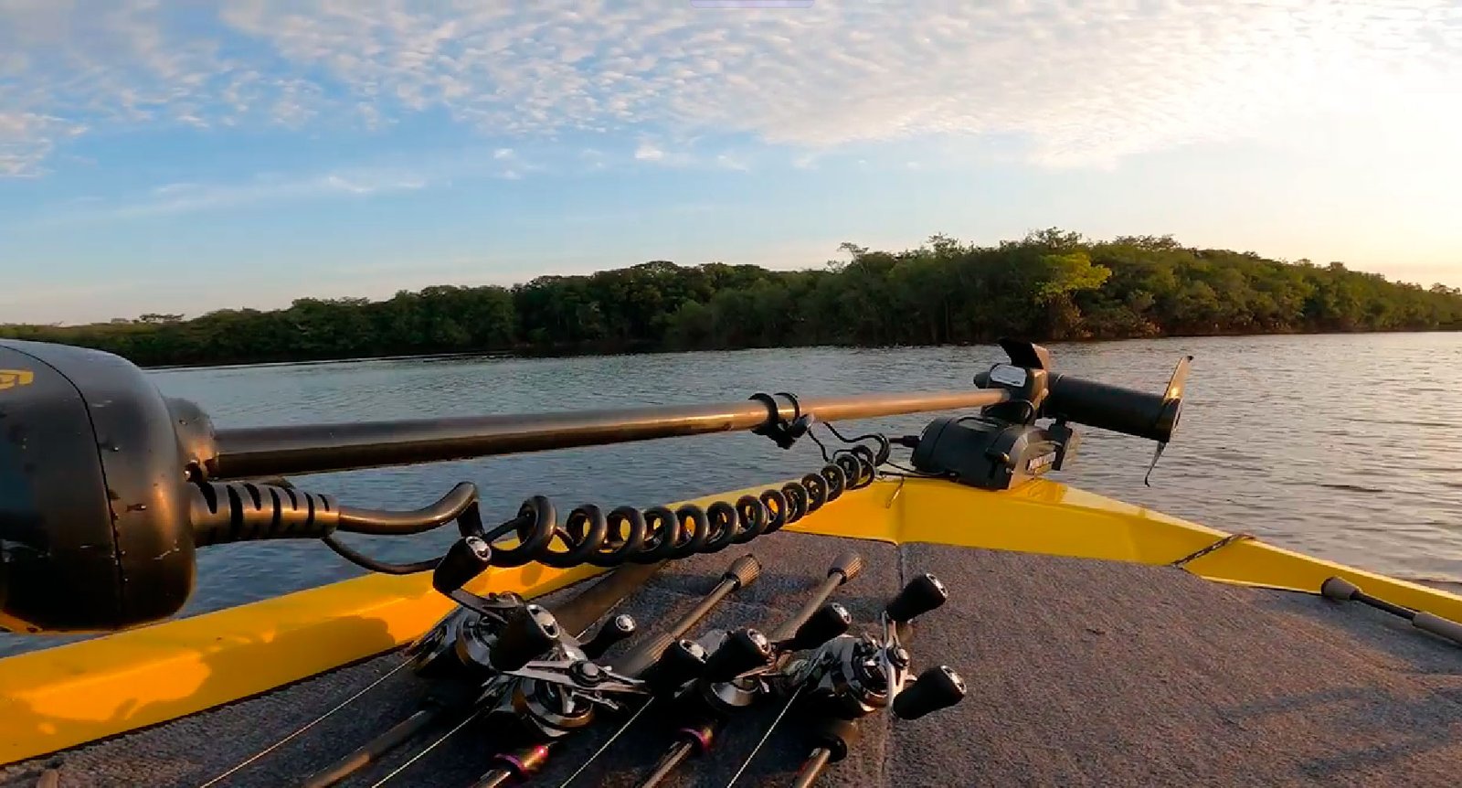 Bass Boat